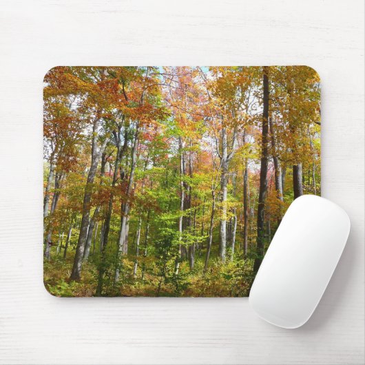 Tapis De Souris Automne Forêt II Automne Paysage Photographie (Avec souris)