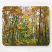 Tapis De Souris Automne Forêt II Automne Paysage Photographie (Devant)
