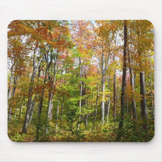 Tapis De Souris Automne Forêt II Automne Paysage Photographie (Devant)