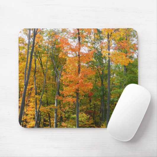 Tapis De Souris Automne Maple Trees Automne Photographie de la nat (Avec souris)