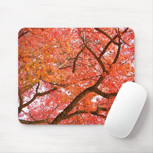 Tapis De Souris Automne Mousepad Beaux Cadeaux Paysages Automne (Avec souris)