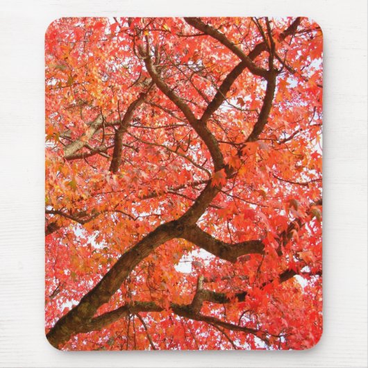 Tapis De Souris Automne Mousepad Beaux Cadeaux Paysages Automne (Devant)