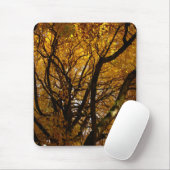 Tapis De Souris Automne Mousepad Beaux Cadeaux Paysages Automne (Avec souris)