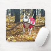Tapis De Souris Automne Rex mousepad (Avec souris)