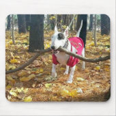 Tapis De Souris Automne Rex mousepad (Devant)