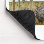 Tapis De Souris autruche (Coin)