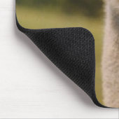 Tapis De Souris Autruche curieuse (Coin)