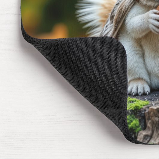 Tapis De Souris Autumn White Squirrel On a Tree Stump (Coin)