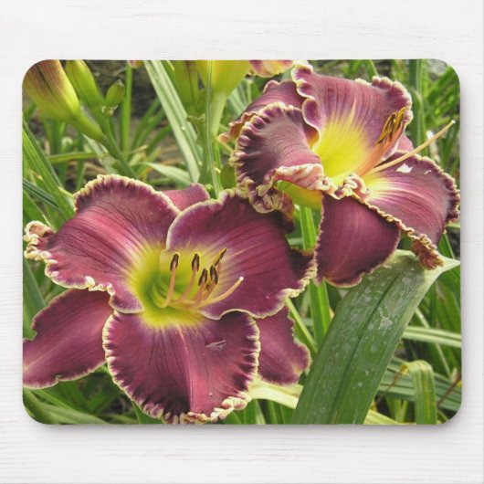 Tapis de souris avec des paires de Daylilies (Devant)