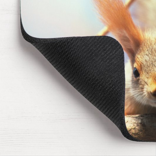 Tapis de souris avec l'écureuil (Coin)