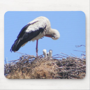 Tapis de souris avec oiseaux
