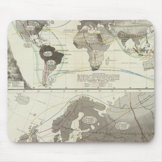 Tapis De Souris Aves, Oiseaux (Devant)