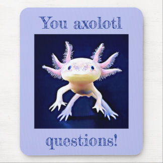 Tapis De Souris Axolotl Salamander Amphibian