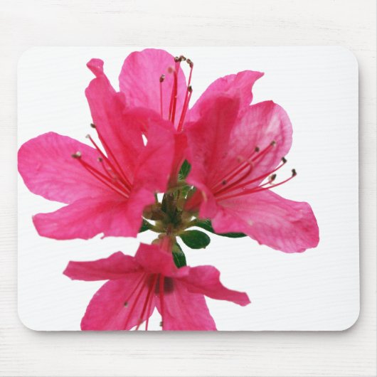 Tapis De Souris Azalea (Devant)