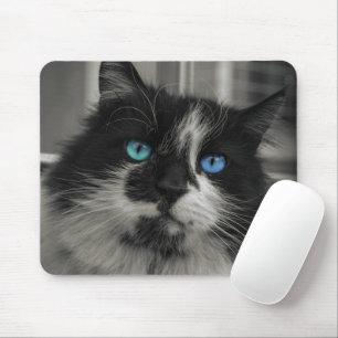 Tapis de souris Azure Soul Black Cat yeux bleus