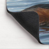 Tapis De Souris B1 Grebe d'épi dans le plumage printanier (Coin)