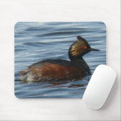 Tapis De Souris B1 Grebe d'épi dans le plumage printanier (Avec souris)