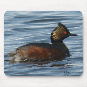 Tapis De Souris B1 Grebe d'épi dans le plumage printanier