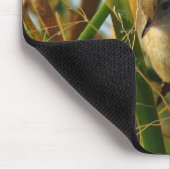 Tapis De Souris B3 Marsh Wren (Coin)