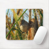 Tapis De Souris B3 Marsh Wren (Avec souris)