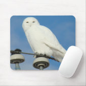 Tapis De Souris B50 Harfang des neiges (Avec souris)