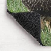 Tapis De Souris B52 Swainson's Hawk (Coin)