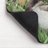 Tapis De Souris B55 Duck de Mallard Drake Greenhead dans l'herbe (Coin)