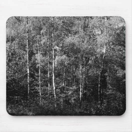 Tapis De Souris B&W Silver Birch (Devant)