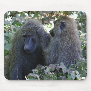 Tapis De Souris Baboon