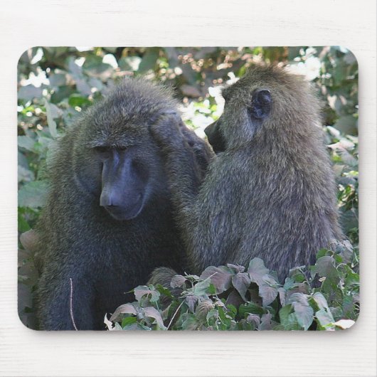 Tapis De Souris Baboon (Devant)