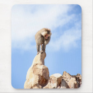 Tapis De Souris Babouin singe au sommet d'une montagne