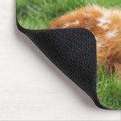 Tapis De Souris Baby Antelope (Coin)