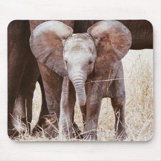 Tapis De Souris Baby Elephant mignon Eléphant africain avec maman (Devant)