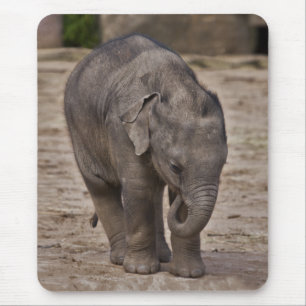 Tapis De Souris Baby Elephant Mousemat