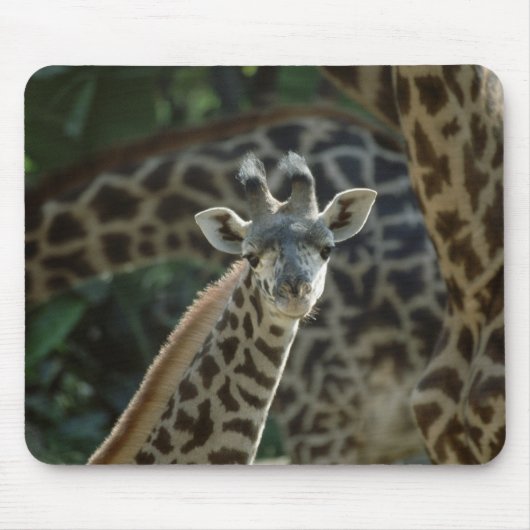 Tapis De Souris Baby Giraffe (Devant)