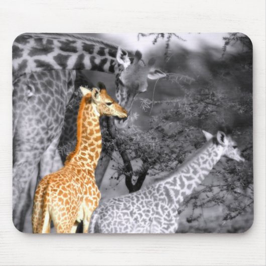 Tapis De Souris Baby Giraffe (Devant)