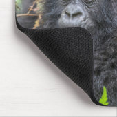 Tapis De Souris Baby Mountain Gorilla (Coin)
