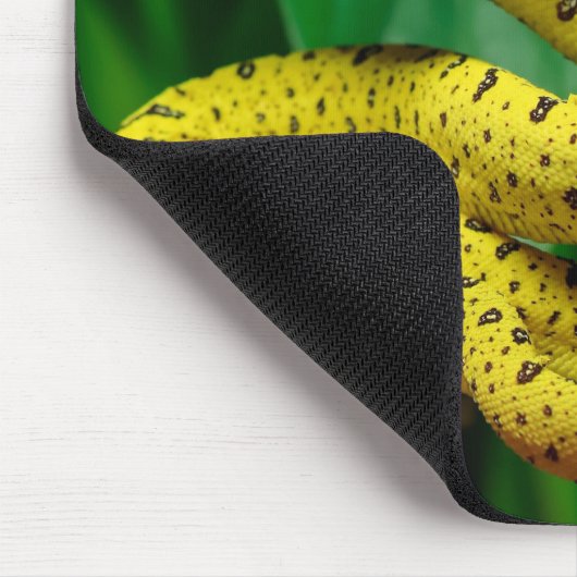 Tapis De Souris Baby Yellow Phase Green Tree Python Snake (Coin)