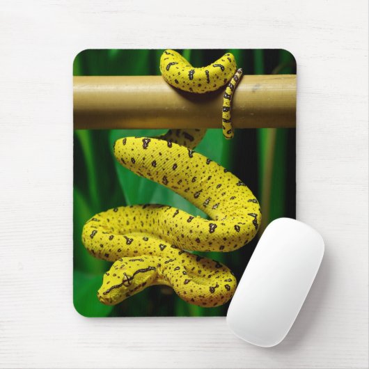 Tapis De Souris Baby Yellow Phase Green Tree Python Snake (Avec souris)