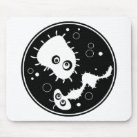 Bactéries