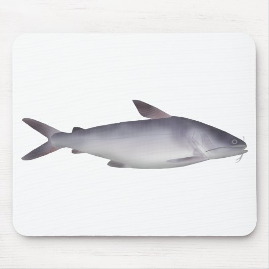 Tapis De Souris Bagre de mer (Devant)