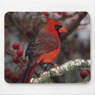 Tapis De Souris Baies blanches Primitive Noël Cardinal Rouge