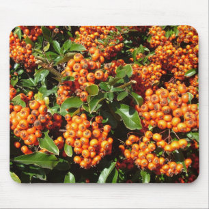 Tapis De Souris Baies Holly Orange