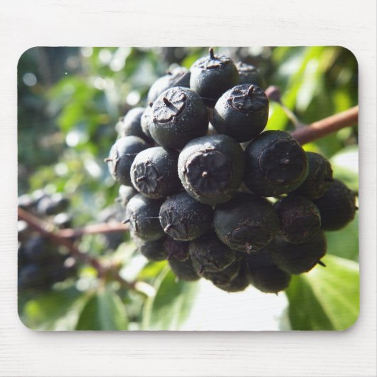 Tapis De Souris Baies Mousepad de lierre (Devant)