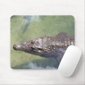 Tapis De Souris baignade (Avec souris)