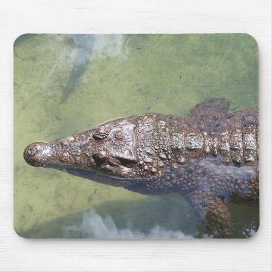 Tapis De Souris baignade (Devant)