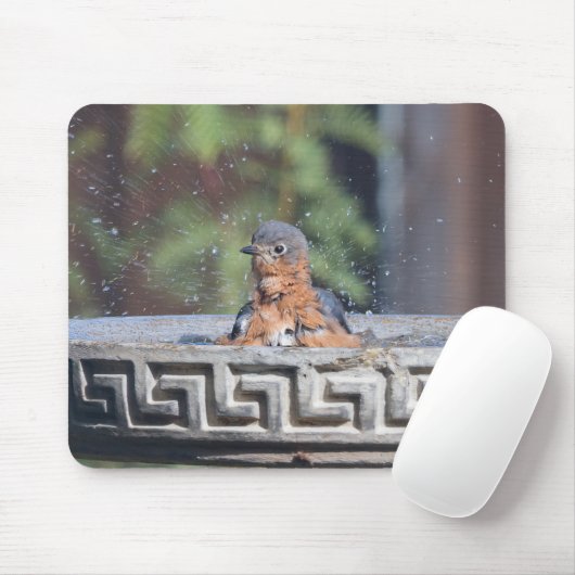 Tapis De Souris Baignade Bleue (Avec souris)