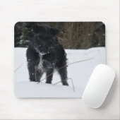 Tapis De Souris Bailey le Patterdale Terrier (Avec souris)