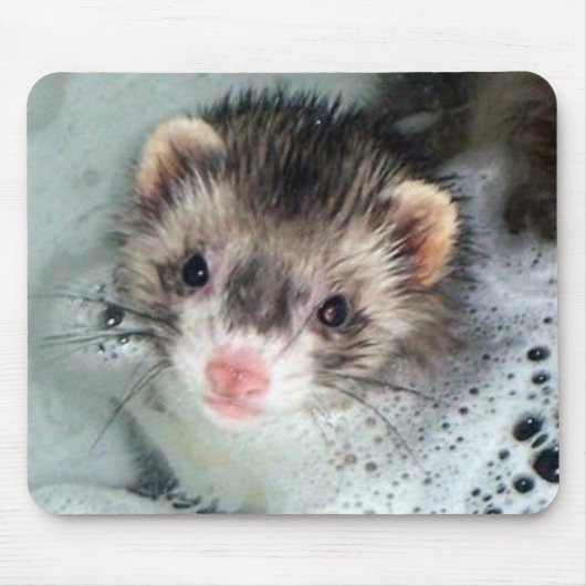 Tapis De Souris bain moussant de furet (Devant)