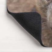 Tapis De Souris Baiser de wombat (Coin)